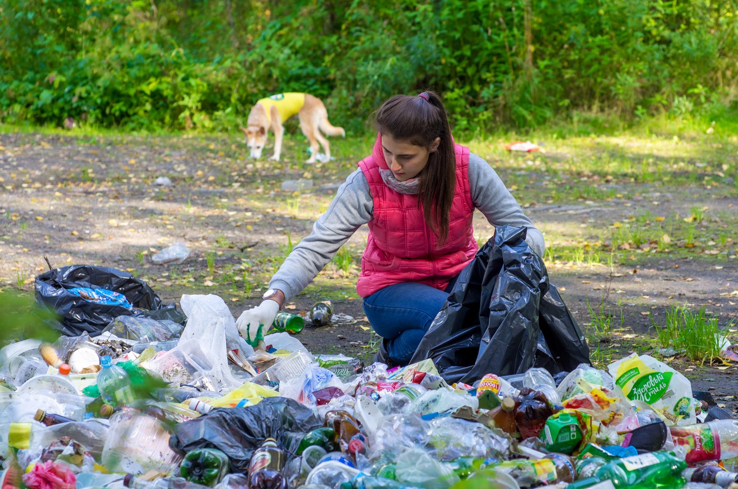 World Cleanup Day: Как миллионы волонтеров соберут мусор в 150 странах мира  - Recycle