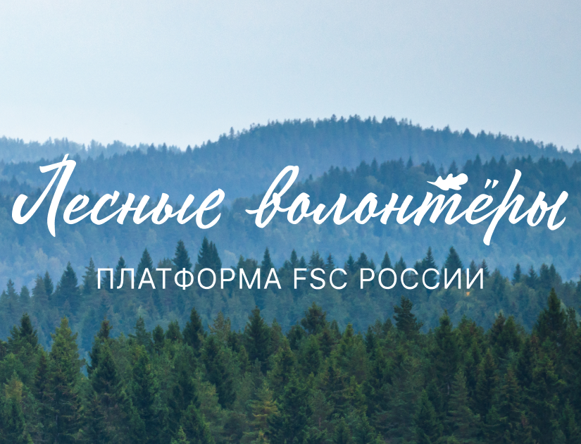 Новый проект FSC России — платформа «Лесные волонтёры»: объединить людей, чтобы сохранить леса