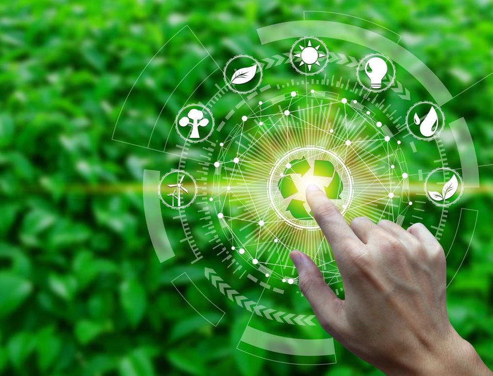 Лига зеленых брендов представила первый ренкинг устойчивых компаний