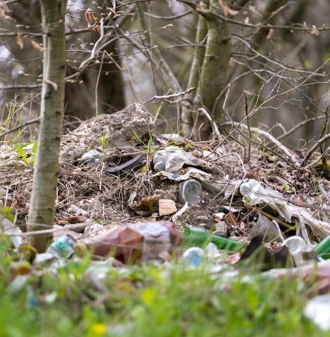 Леса в Нижегородской области очистят от 31 свалки 