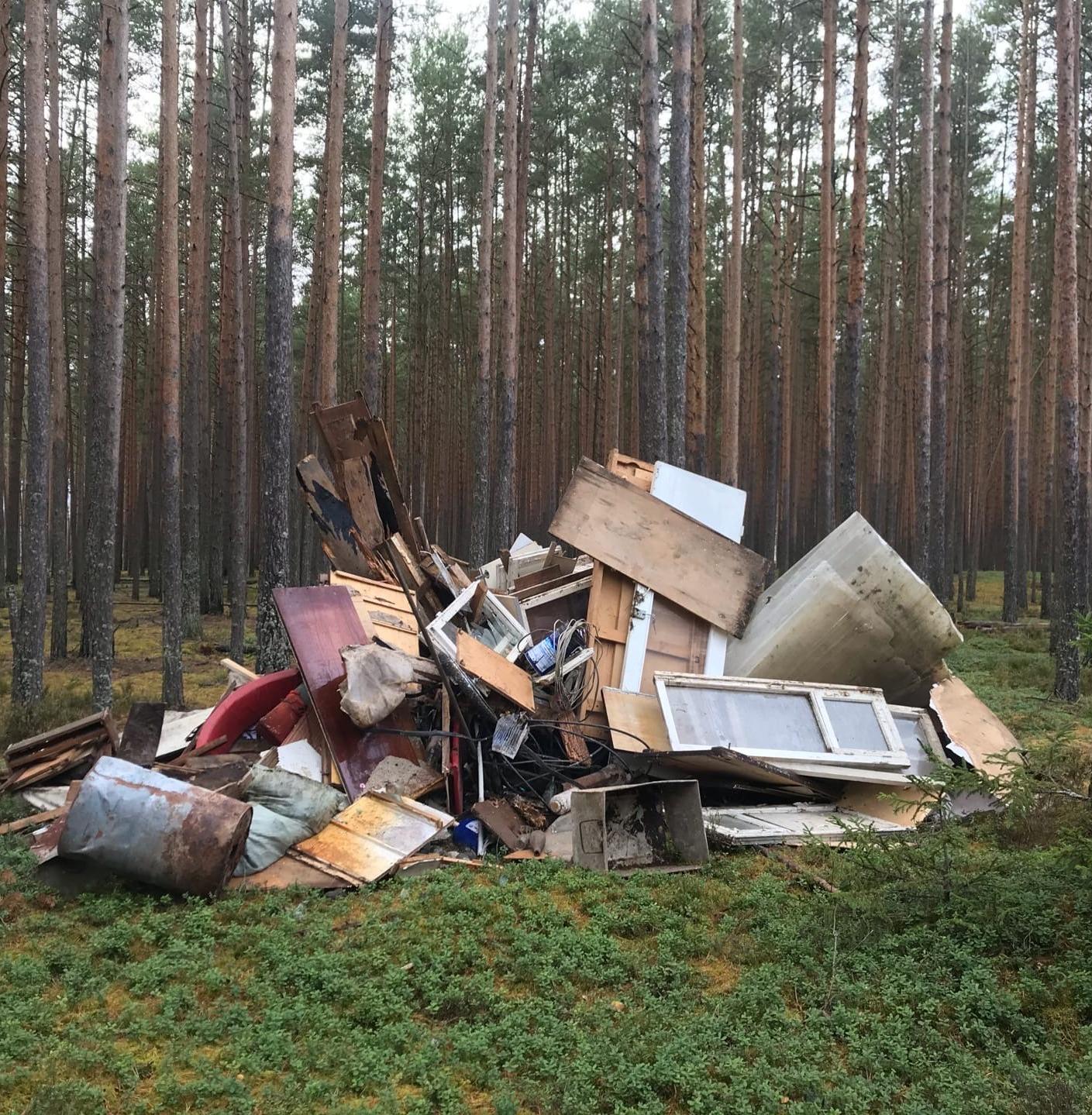 В Волгограде охотников за мусорщиками-нелегалами поощрят рублем 