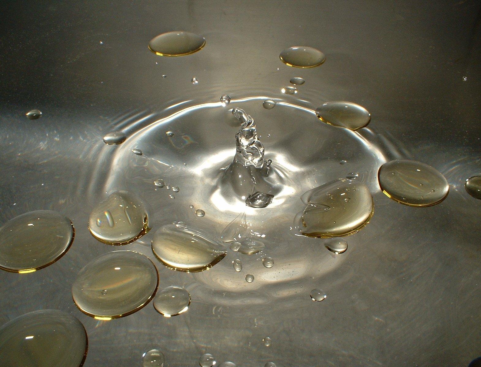 Томские биологи запатентовали эффективный способ очистки воды от нефти