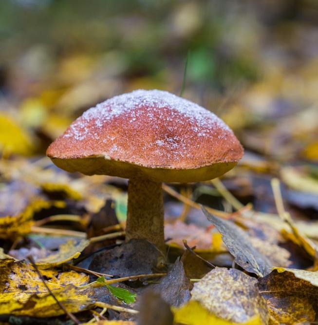 Климат меняется. Так ли это и чего ждать? 