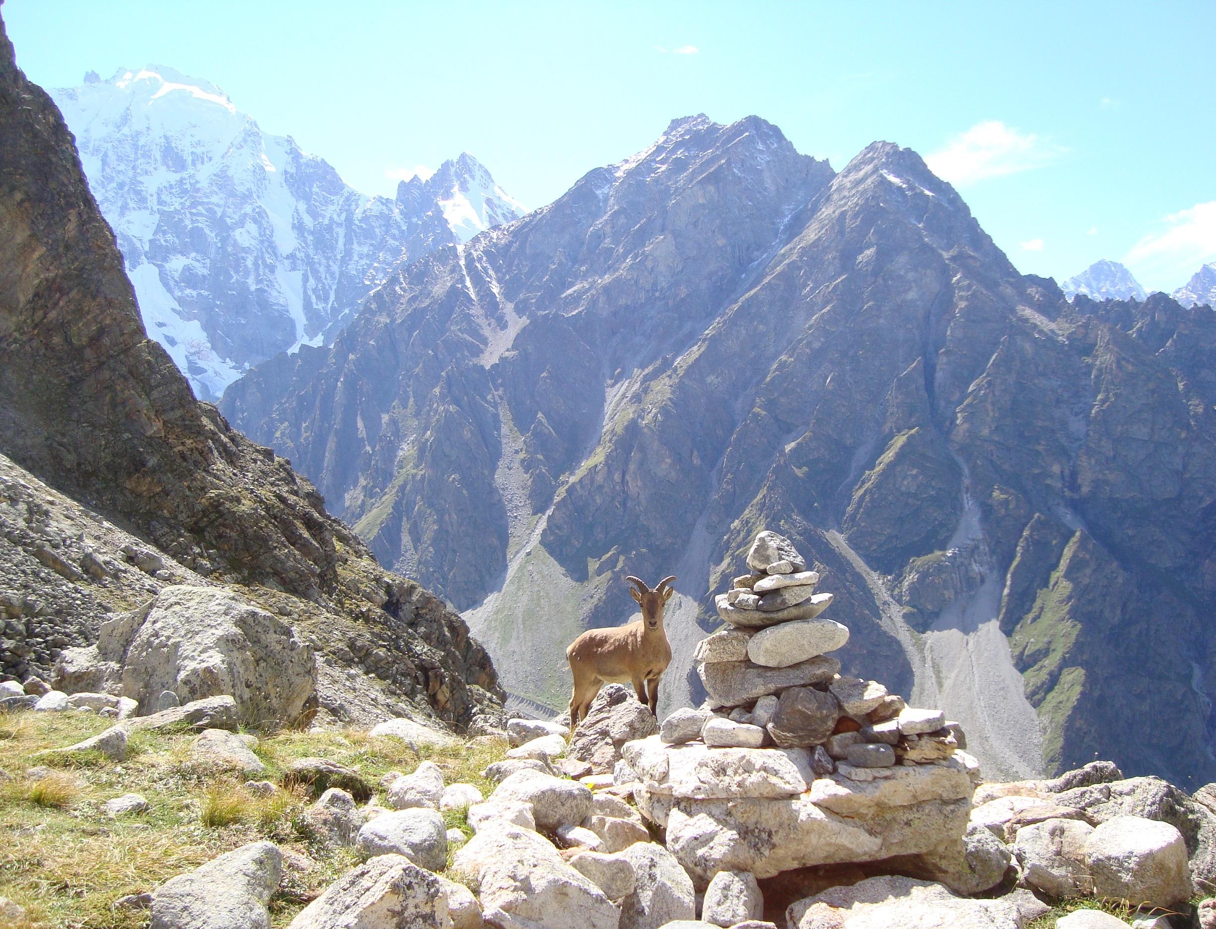Международная экошкола «Хранители природы Кавказа» ищет участников