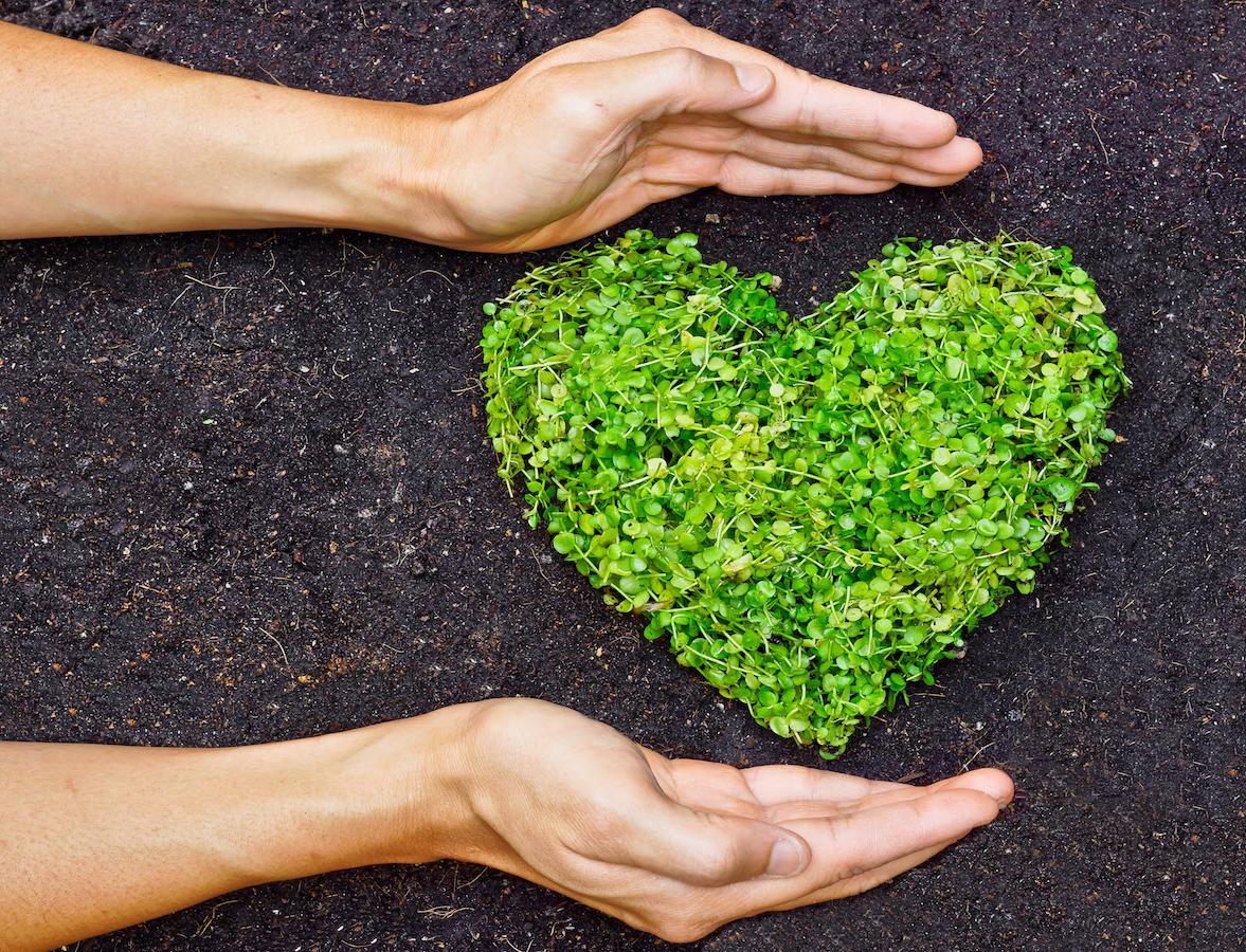 Пять идей для экологичного свидания на День святого Валентина
