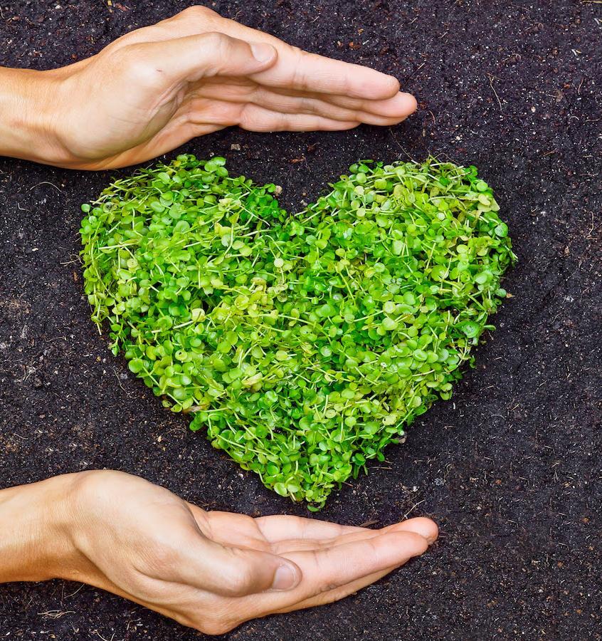 Пять идей для экологичного свидания на День святого Валентина