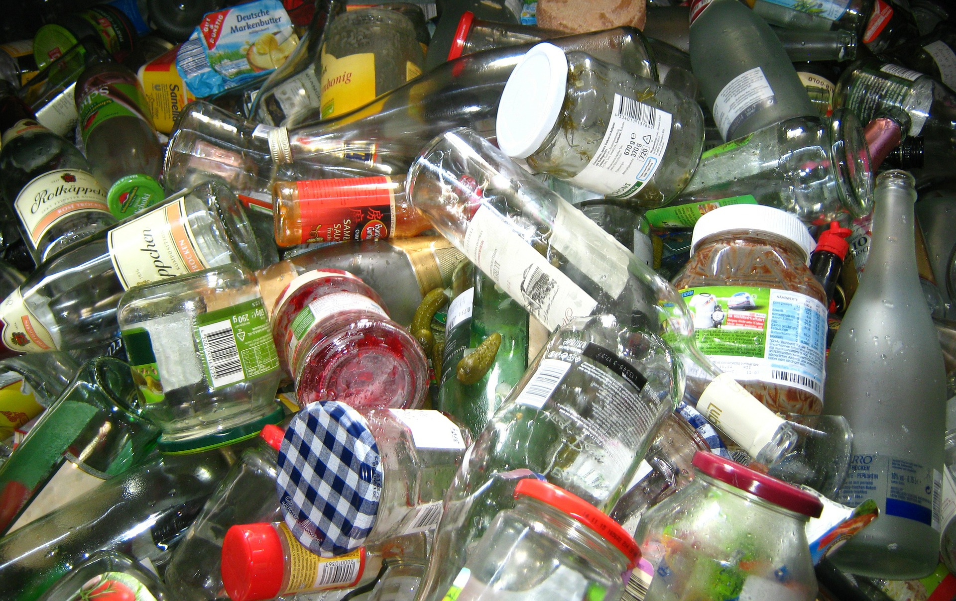 Видео дня: как запустить раздельный сбор отходов в обычном дворе