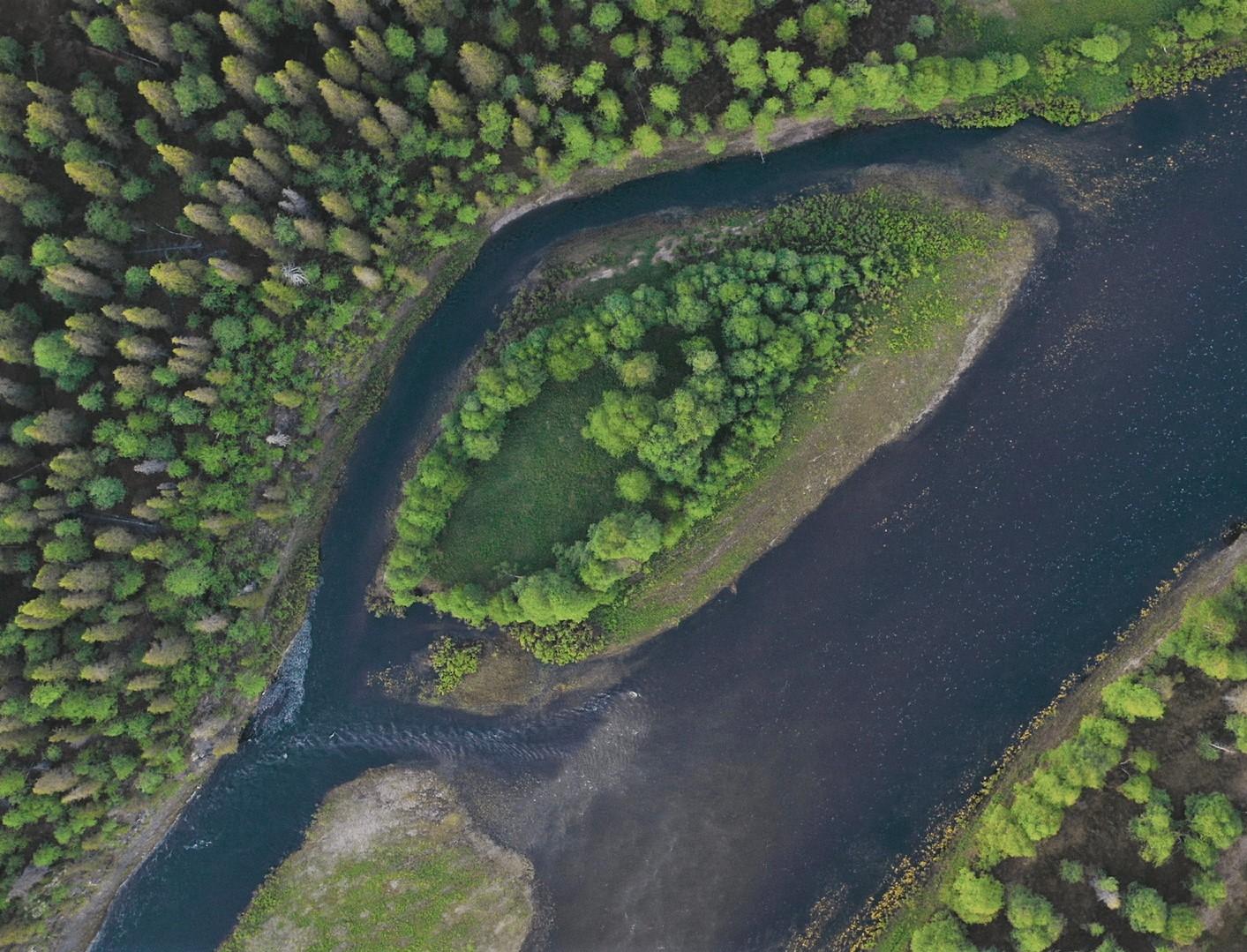 WWF России представляет фильм-экспедицию по первозданным лесам Архангельской области