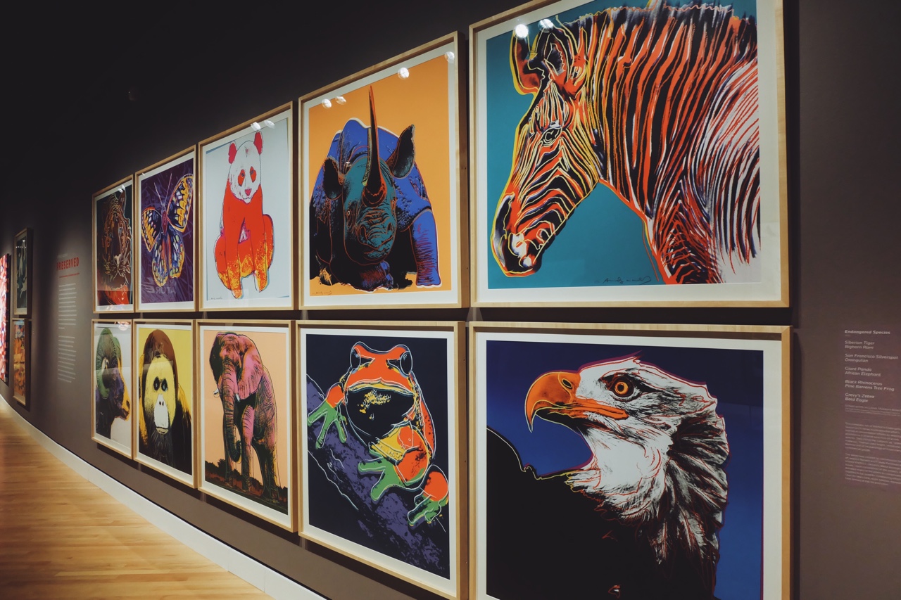 Выставка работ Энди Уорхола о вымирающих видах животных пройдет в Москве