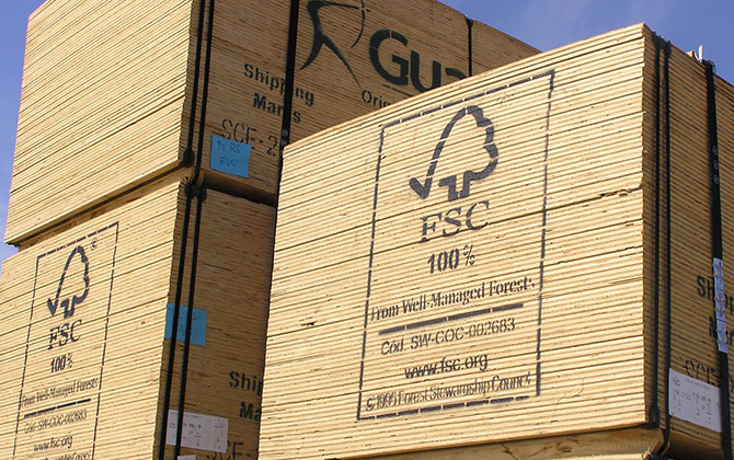 Что такое FSC или как экологично вырубают деревья для бумаги и мебели