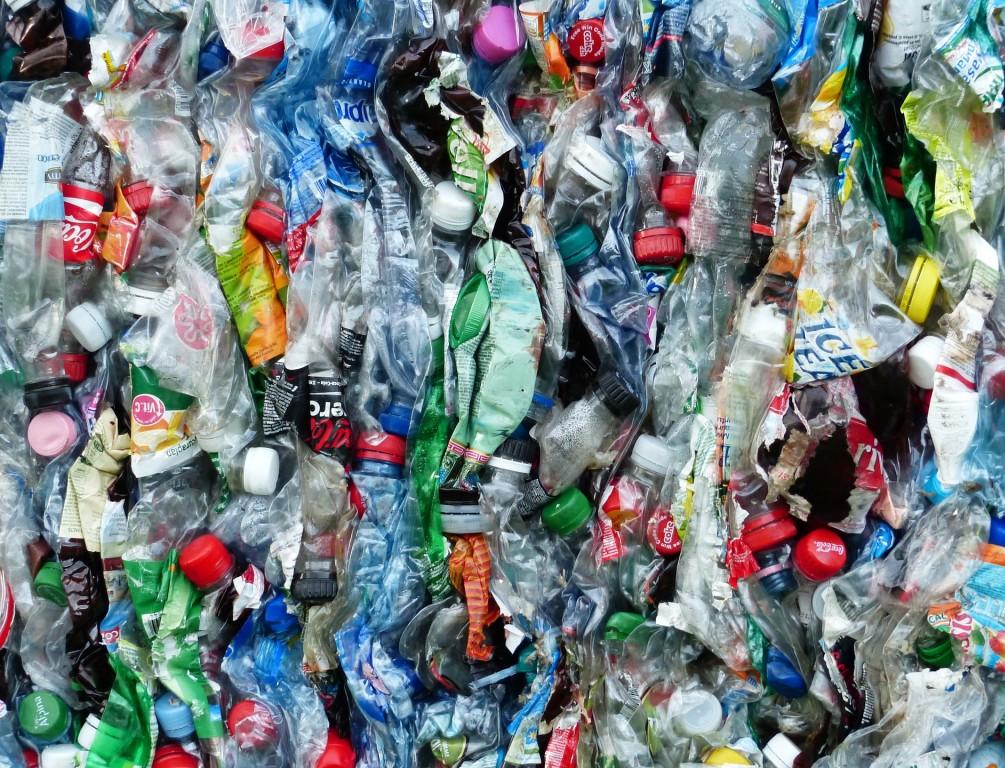 Объявлен набор в Школу переработки пластика