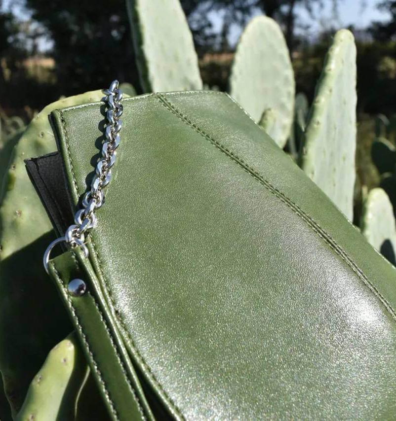 В Мексике создали альтернативу коже на основе кактусов