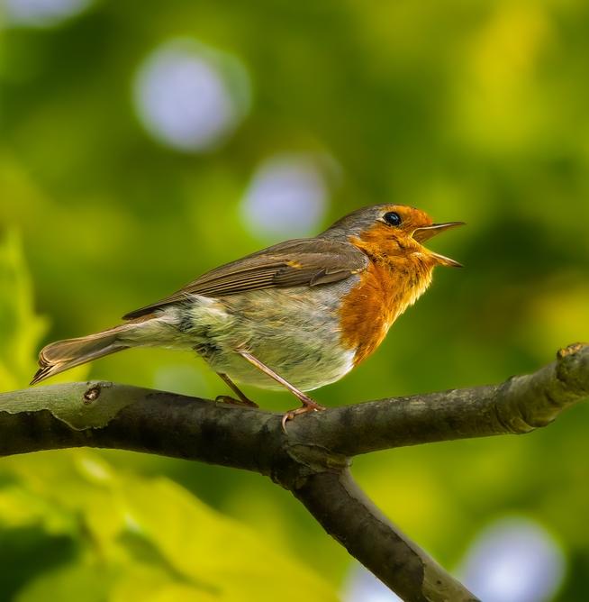 Ученые: воздух в деревне загрязнен микропластиком сильнее 