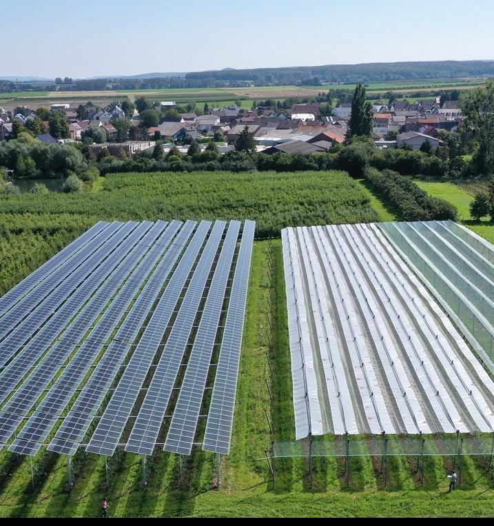 В Германии будут выращивать яблоки за счет солнечной энергии