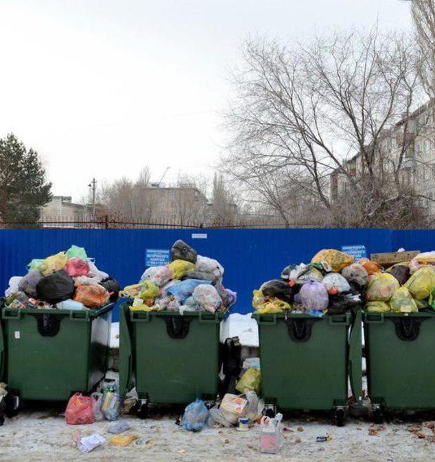 Регоператор Владивостока заплатит 7 млн рублей за мусорный коллапс