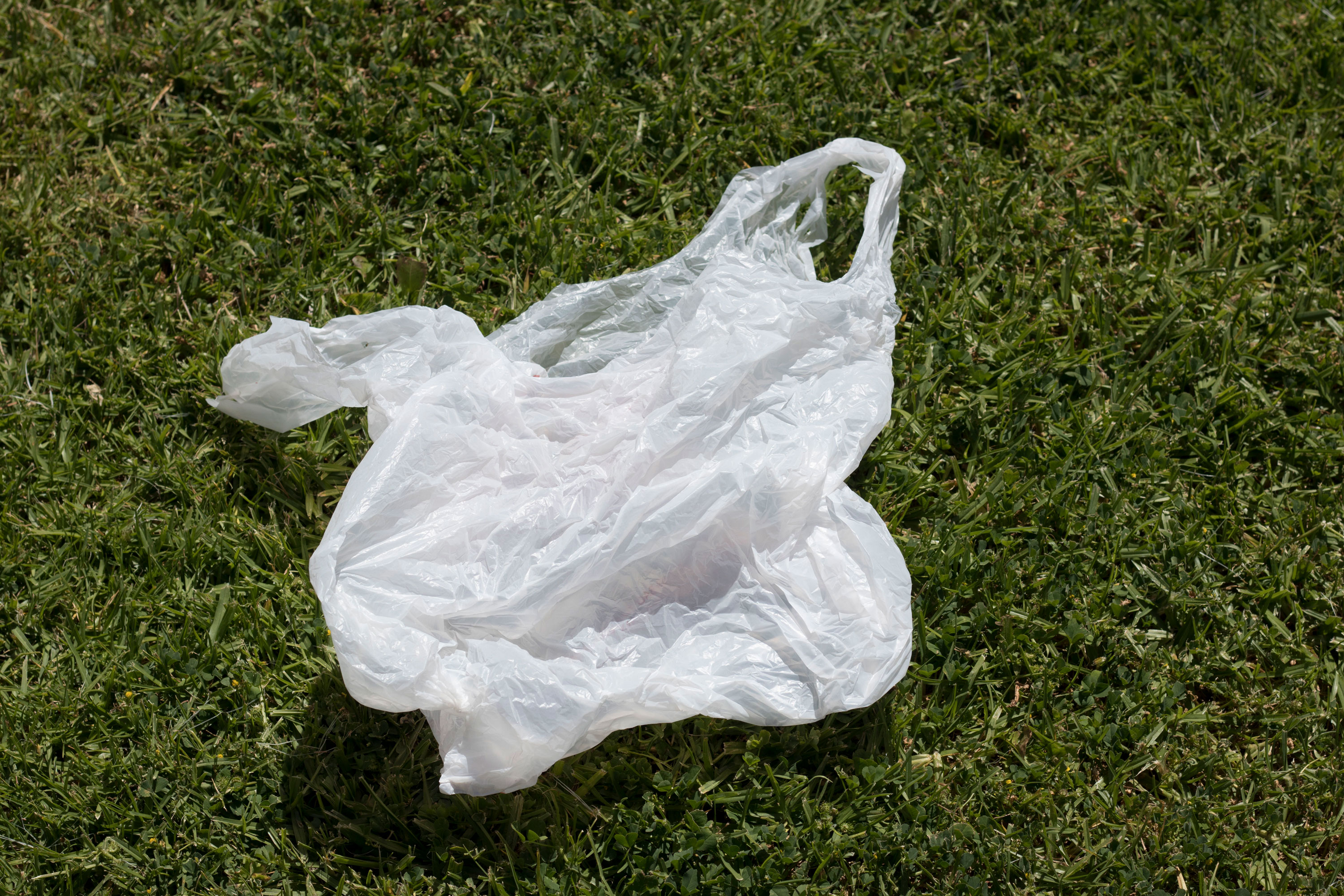 Австралия отказалась от пластиковых пакетов