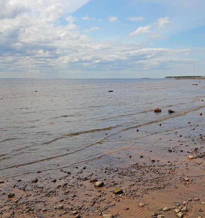 Балтийское море станет чище