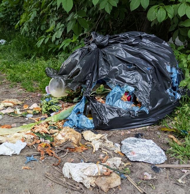 Устроителя свалки в Бурятии нашли по пaкeтaм из мapкeтплeйca 