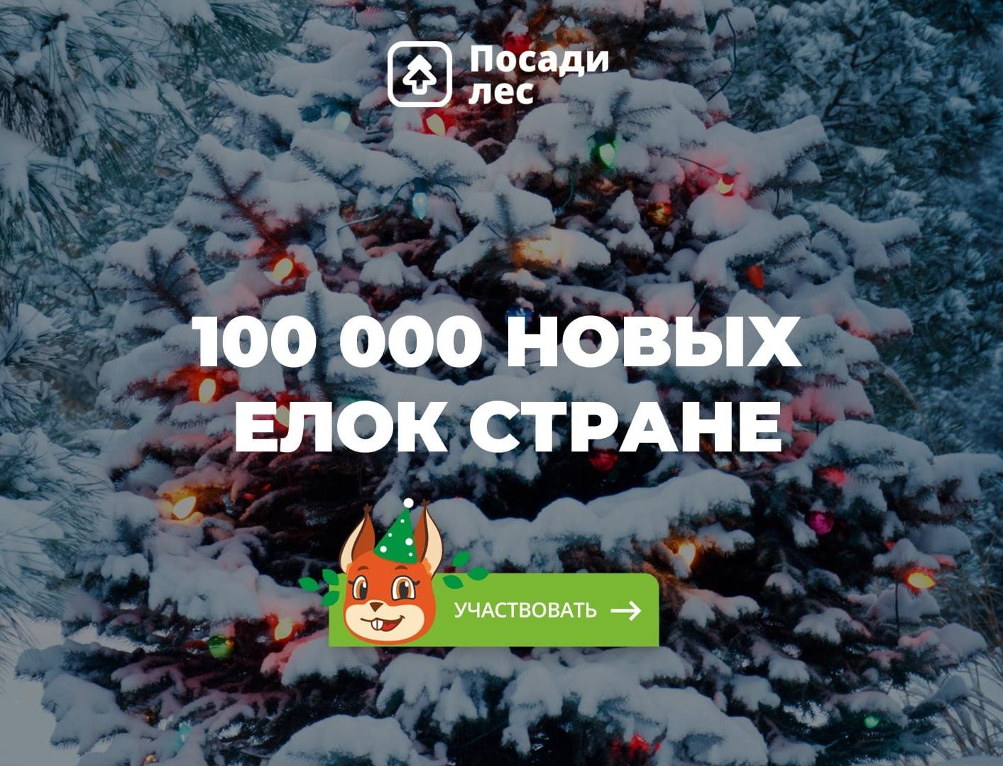Россиян приглашают подарить 100 тысяч ёлок стране в Новый год