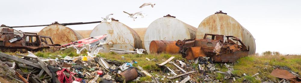В Архангельской области волонтёры убрали более 400 тонн отходов 