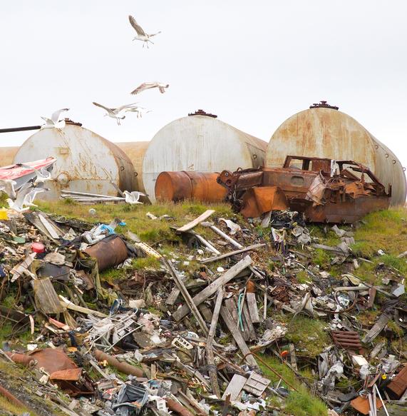 В Архангельской области волонтёры убрали более 400 тонн отходов 
