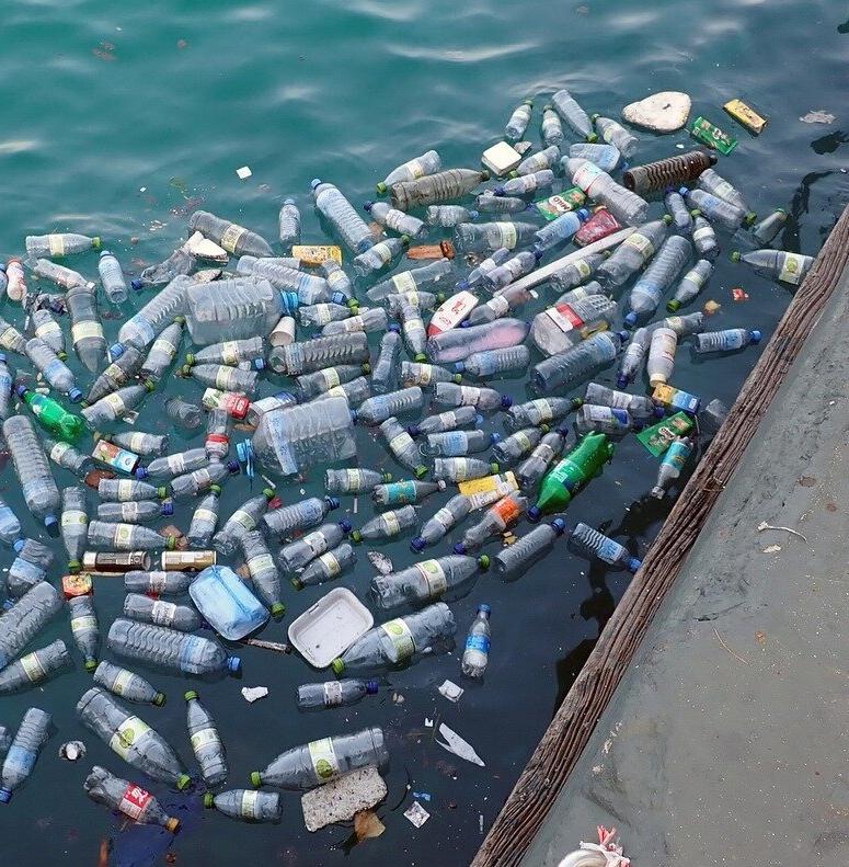 За 10 лет жители Беларуси стали сдавать почти в 4 раза больше пластика