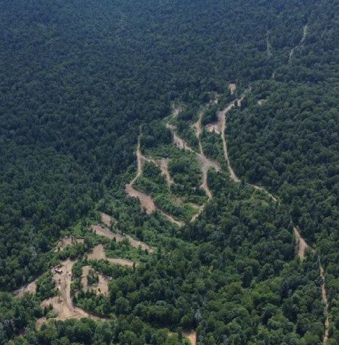 Сихотэ-Алинский заповедник объявил набор волонтёров 
