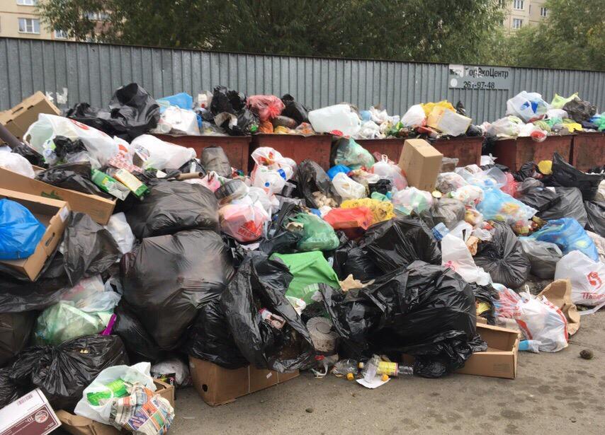 В Челябинске ввели режим повышенной опасности из-за мусорного коллапса