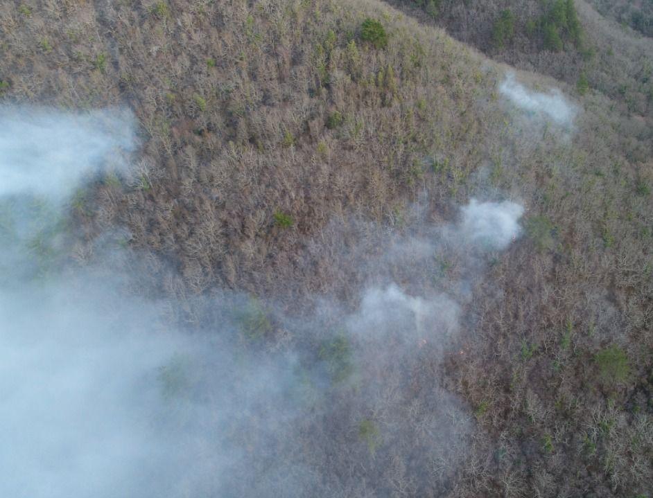 «Ясный горизонт»: сервис для борьбы с лесными пожарами создали в Краснодарском крае