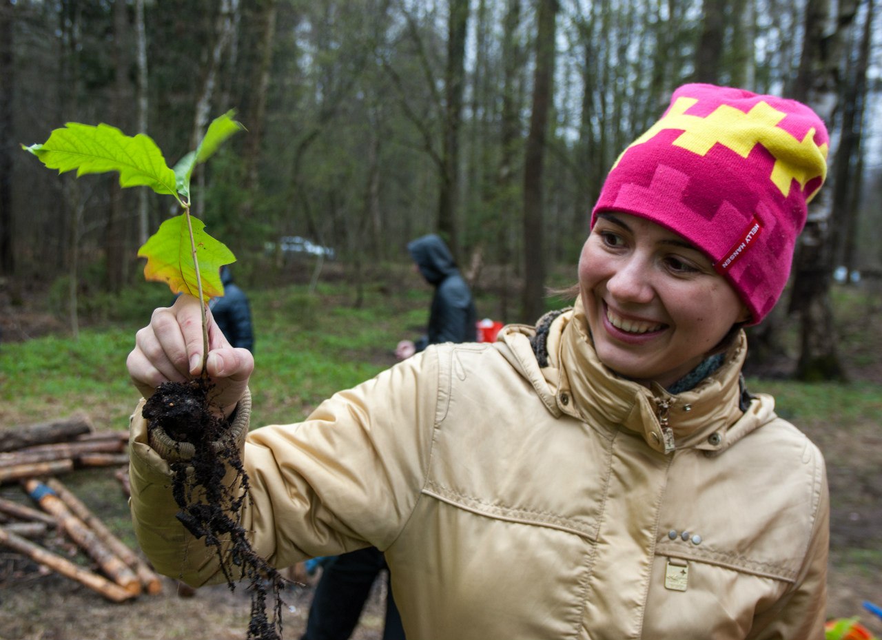 Участники экопраздника в Петербурге посадят деревья