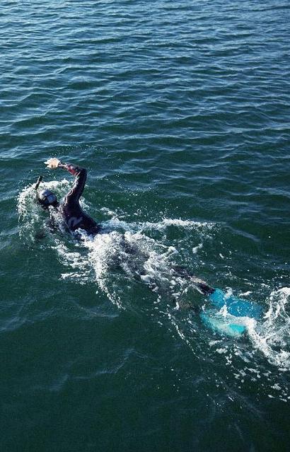 Французский пловец первым в мире вплавь преодолеет Тихий океан и изучит уровень его загрязнения