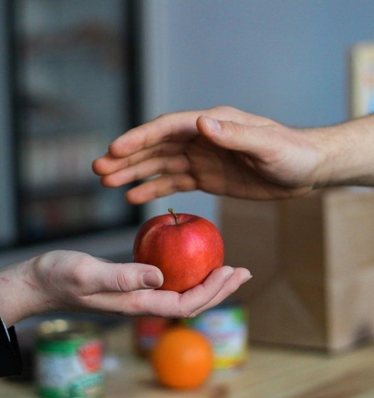 В Латвии можно будет отдавать продукты с истекшим сроком годности на благотворительность