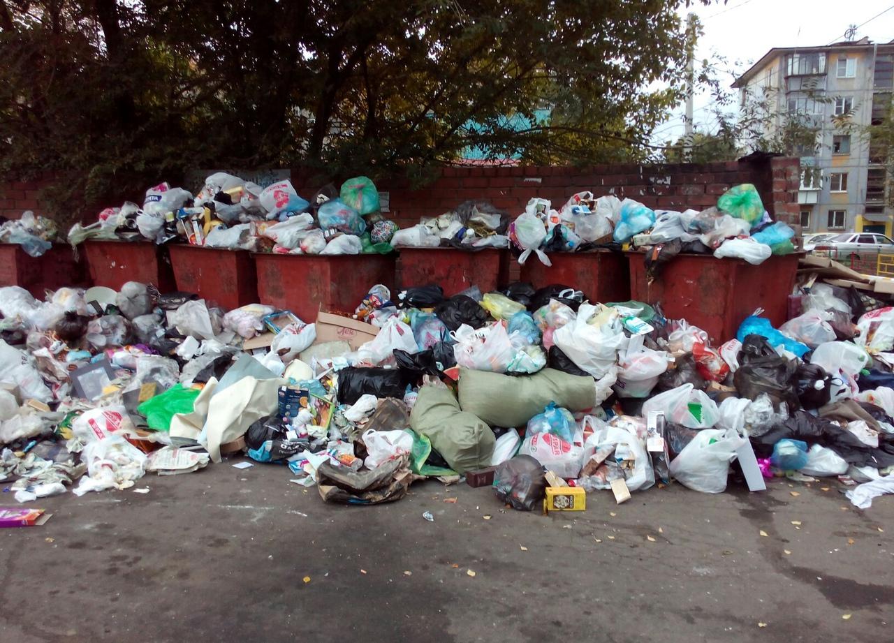 Фотогалерея: мусорный коллапс в Челябинске