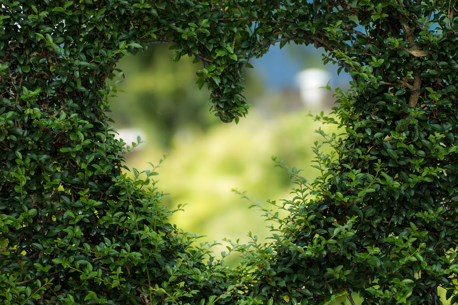 Ссылка дня: 12 способов сделать День святого Валентина экологичным