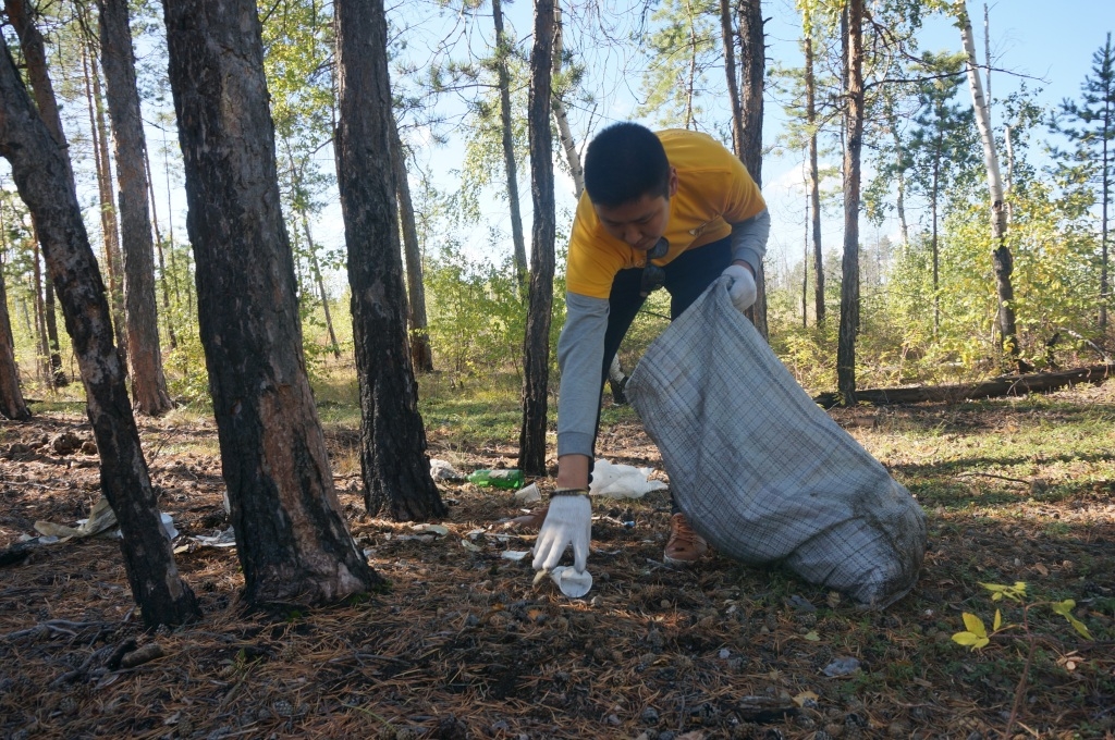 Москвичей приглашают на уборку леса с раздельным сбором мусора