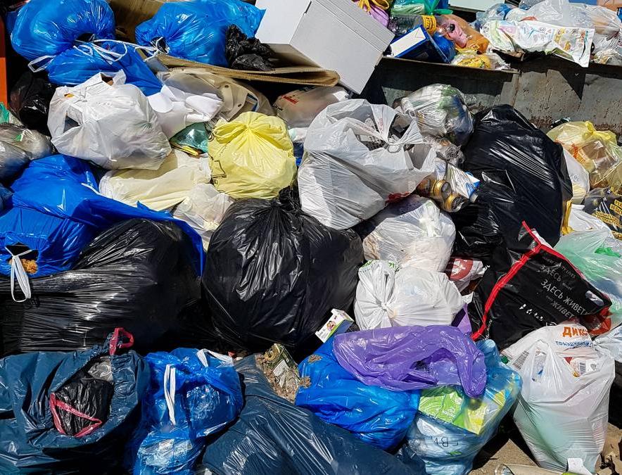 В Архангельской области тестируют онлайн-график вывоза мусора