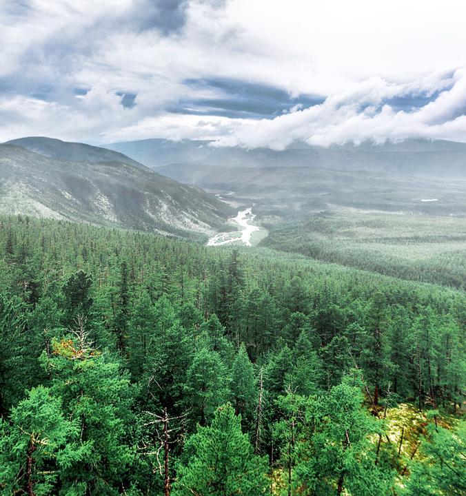 Якутские леса могут «зарабатывать» на поглощении парниковых газов