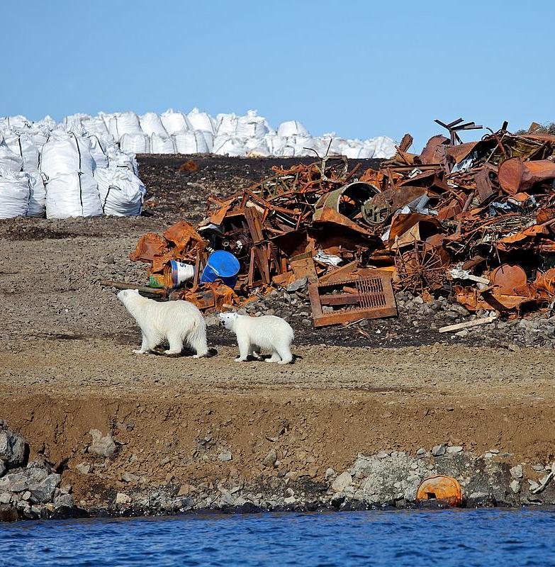 В Якутии переработают более 80 тонн металлолома из Арктики 