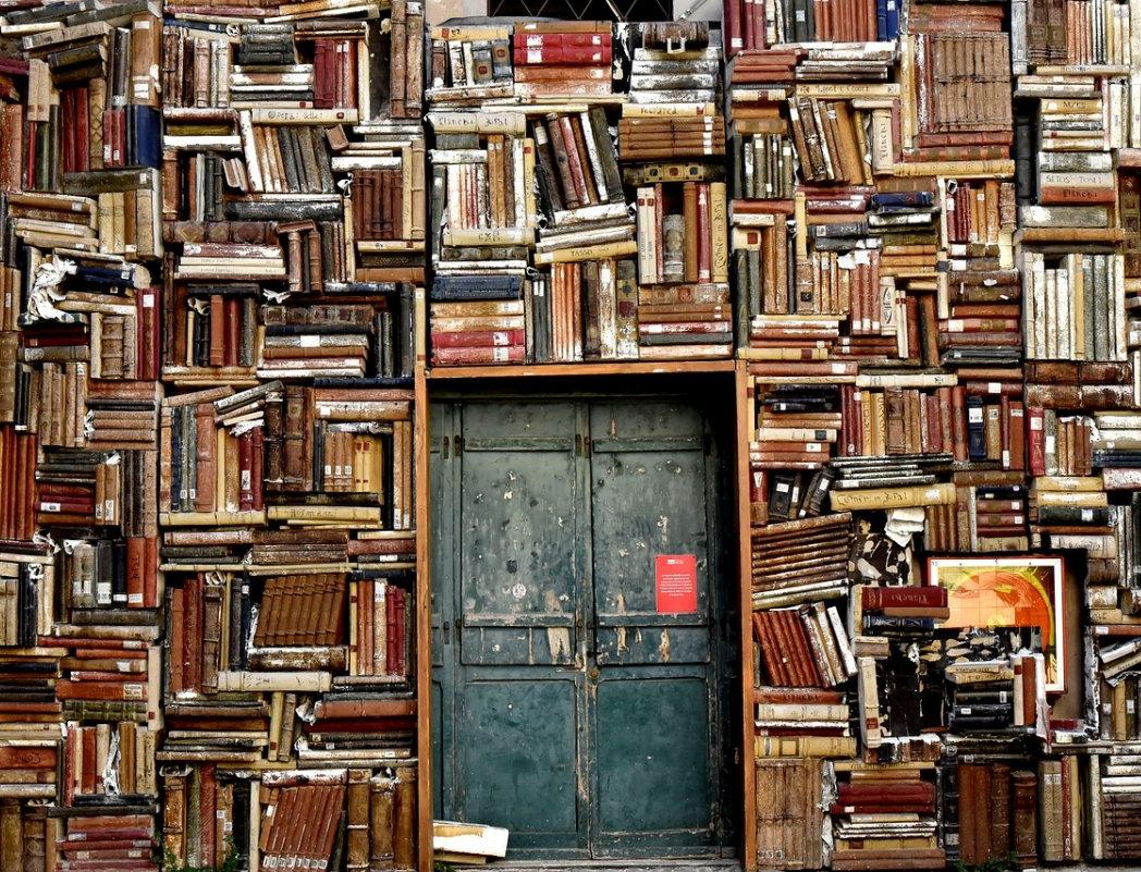 Библиотеки Москвы бесплатно раздают книги всем желающим