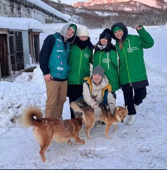 Камчатские студенты вызволили из сугробов приюты для собак 
