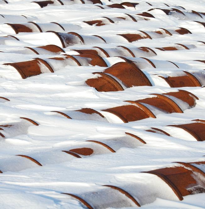 «Чистая Арктика» помогла убрать с территории НАО тысячу тонн отходов 