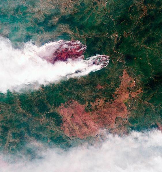 Площадь лесных пожаров в России превысила 1,6 млн га