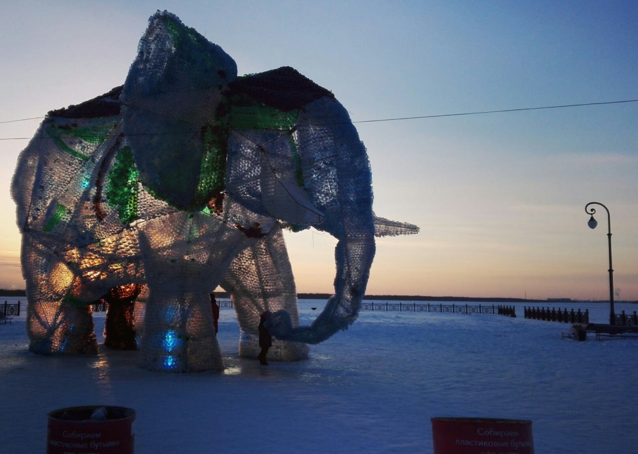 Слон из пластиковых бутылок в Архангельске может попасть в Книгу рекордов Гиннесса