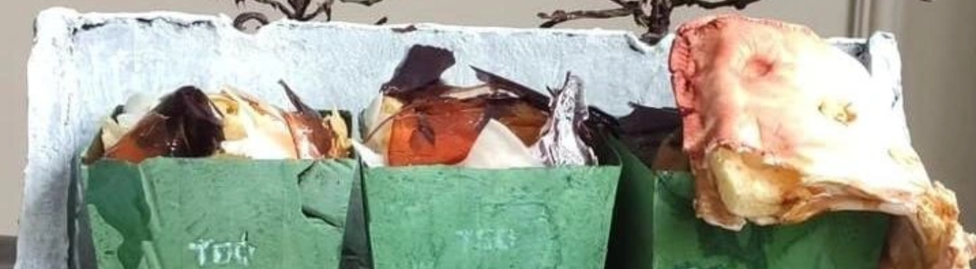Кондитер из Сургута придумала торт-мусорку и «взорвала» Интернет 