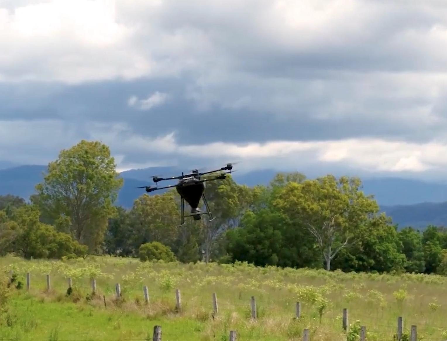 В Австралии будут восстанавливать леса с помощью дронов