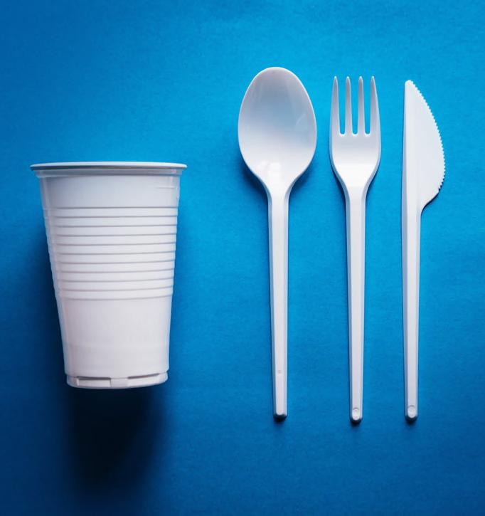 Одноразовую пластиковую посуду в России могут запретить с 2023 года