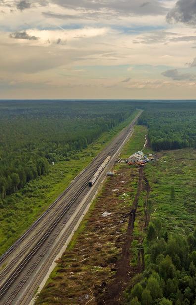 Жители Архангельской области написали обращение к Путину с просьбой защитить их от экоопасности 