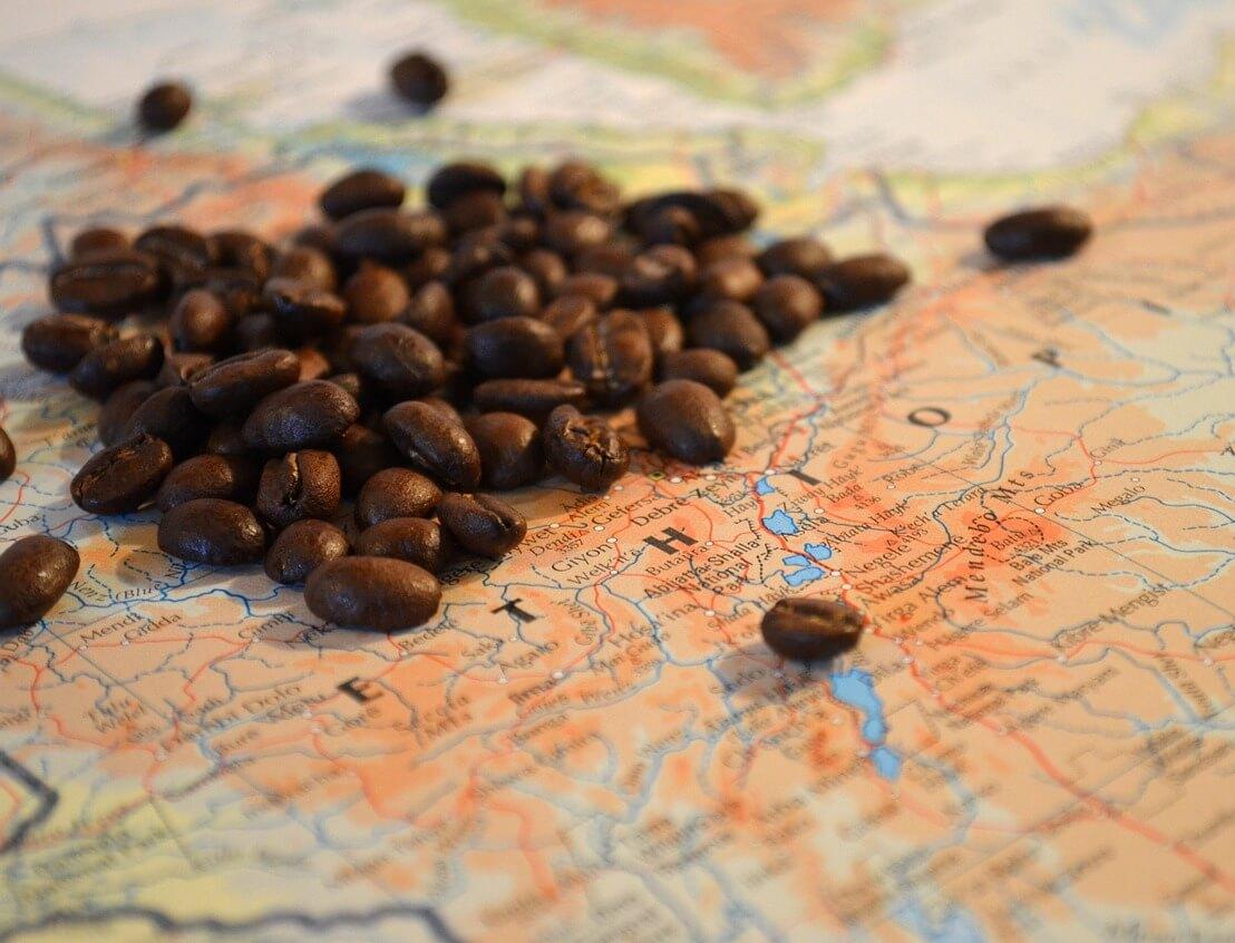 Изменение климата повлияет на кофе в Эфиопии 