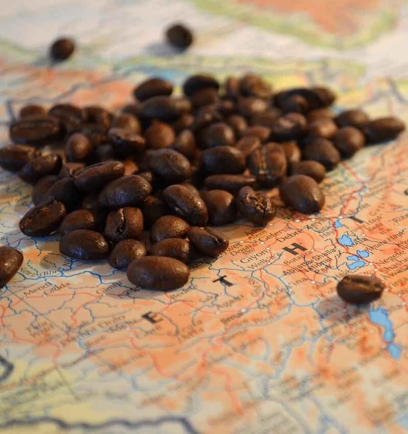 Изменение климата повлияет на кофе в Эфиопии 