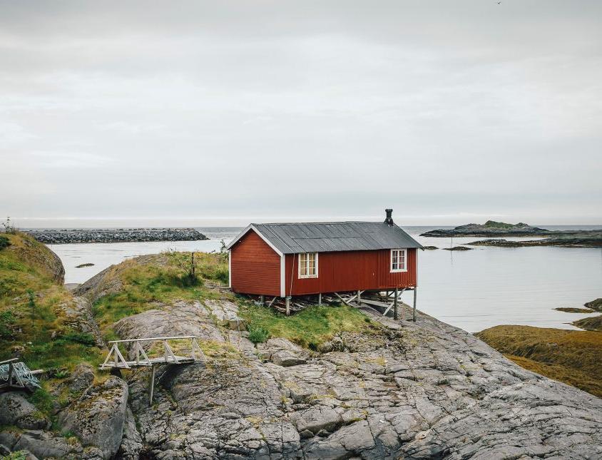 Пластик и нефть разрушают крупнейший заповедник Норвегии